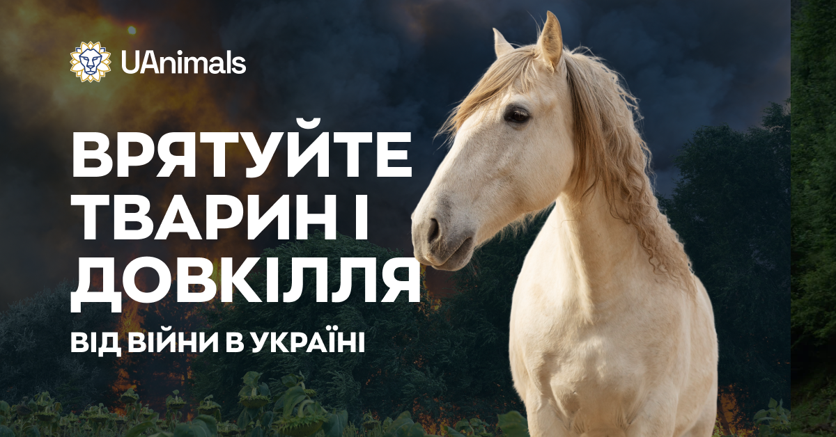 UAnimals