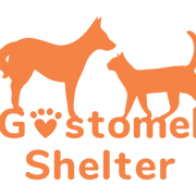 Gostomel Shelter